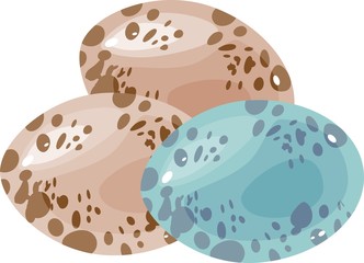 Three quail eggs on white background