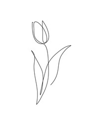 Ikona konspektu tulipan - 191989116
