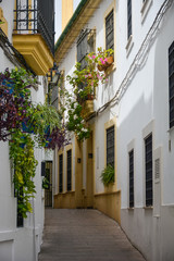 Fototapeta na wymiar Callejuela típica, Córdoba, Andalucía, España