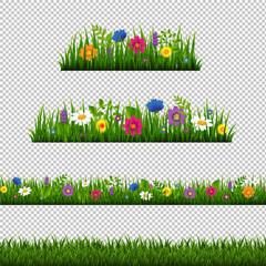 Grass Border With Flower Collection Isolated Transparent Background