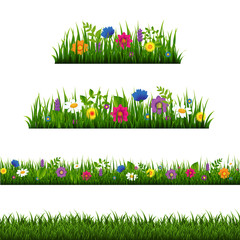 Grass Border With Flower Collection Isolated