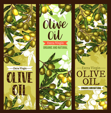Vector olive oil extra virgin sketch banners