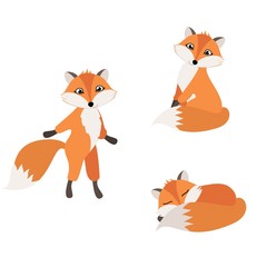Obraz premium Set of isolated cartoon cute foxes. vector illustration, eps. #2