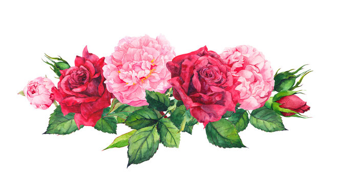 Pink peony flowers and red roses. Watercolor