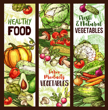 Vector vegetables and veggie sketch banners