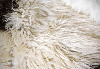 Sheepskin texture