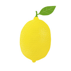 lemon - vector illustration