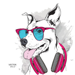 Dog in glasses and headphones. Vector illustration.