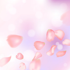 Pink sakura or rose falling petals