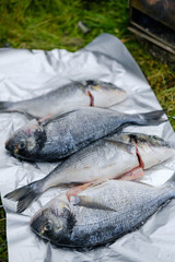 Fresh Dorado fish in foil 