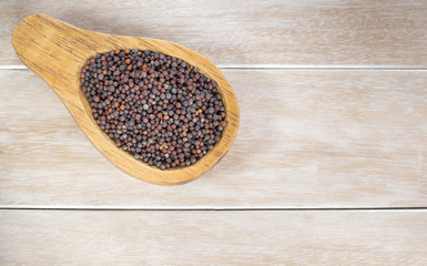 Black mustard grains in the spoon