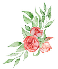 Peonies bouquet Hand painted watercolor combination of Flowers and Leaves