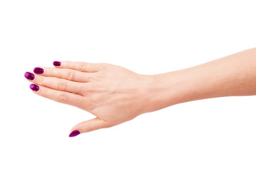 Woman's hands with neat manicure. Isolated on white background.