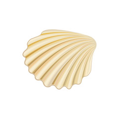 Flat vector icon of scallop. Healthy and delicious delicacy. Marine product. Concept of seafood. Graphic design for menu, promotion poster or flyer