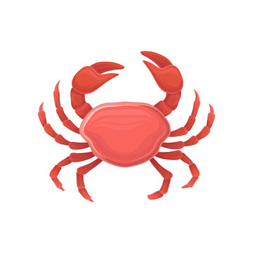 Cartoon icon with red crab. Healthy eating. Marine product. Design for restaurant menu, logo, promo poster, flyer or product packaging. Flat vector icon