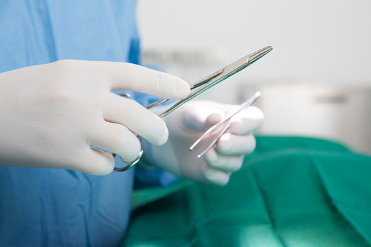 Vet holding surgery instruments
