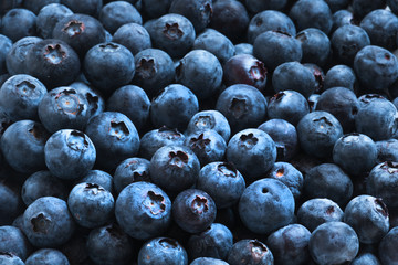 Arrangement blueberries for fruit background