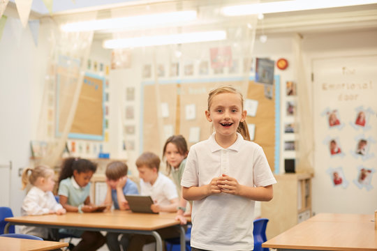 Portrait of schoolgirl in classroom lesson at primary school