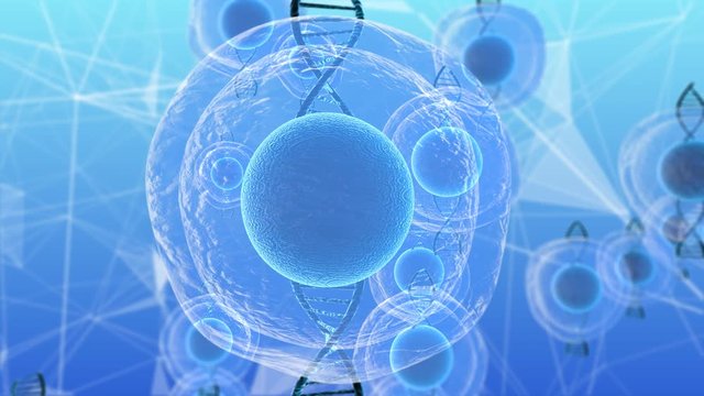 Human embryonic stem cells molecular biochemistry research technology