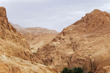 Fototapeta premium Rocks of oasis Chebika, famous landmark in Sahara desert. Tunisia.