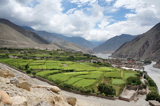 Nepalese village of Kagbeni, with orchards, is located in the valley of the Himalayas. Trekking to the Upper Mustang. Nepal.
