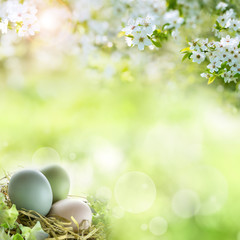 Easter eggs in spring