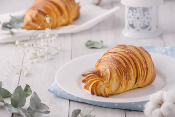 Delicious continental breakfast with fresh flaky french croissants, close up on the croissants. With white cotton flowers on a light wooden background. Provence rustic style