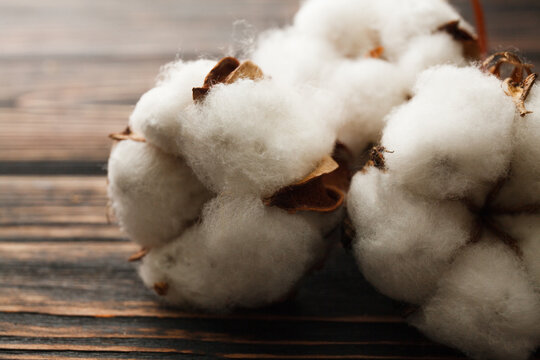 Dry blossom cotton