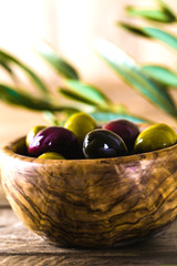 Olives on branch