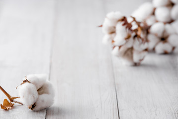 Autumn composition. Dried white fluffy cotton flowers on white wood wall with copy space. Floral composition - obrazy, fototapety, plakaty