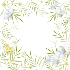 Tropical background. Palm leaves. Exotic flowers. Orchid. Frame. Plumeria. Frangipani. White. Green. Border.