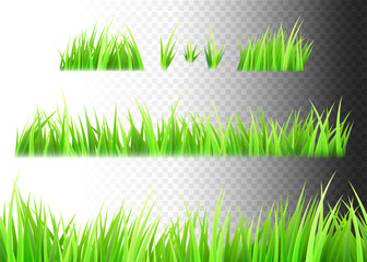 Grass vector isolated on white, black and transparent background. Tufts of grass