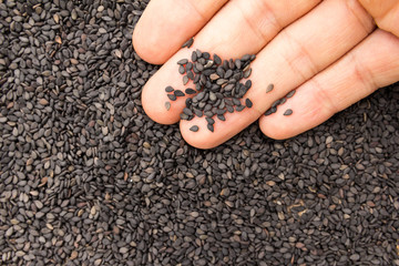 Benniseed. Person with grains in hand. Macro. Whole food.