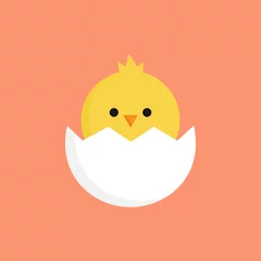 Fotobehang Illustraties Schattige kleine meid in gebarsten ei vector grafische afbeelding. Pasen thema, gele kip cartoon met gebarsten eierschaal, geïsoleerd op een oranje achtergrond.
