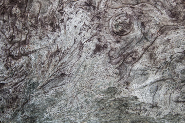 wood texture background . surface of old dark vintage wall , nature design of tree pattern . wooden table material is grunge style .