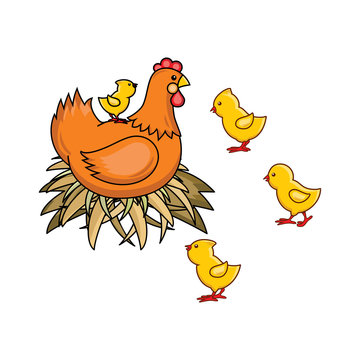 vector flat hand drawn brown colored hen chicken, cock sitting in hay nest, yellow chicks around icon set. Isolated illustration on a white background. Farm poultry chicken