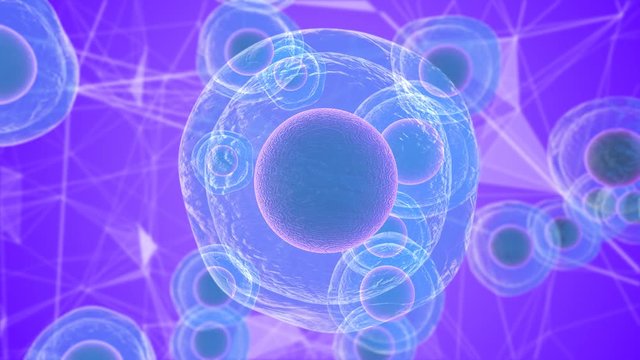 Biological research on stem cells derived from embryos and use in medicine