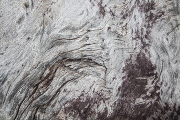 wood texture background . surface of old dark vintage wall , nature design of tree pattern . wooden table material is grunge style .