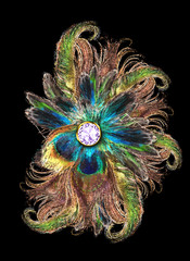 Decoration with Peacock Feathers