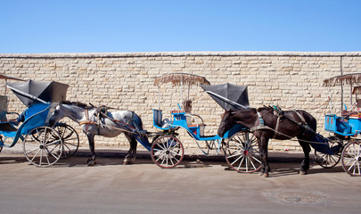Moroccan horse-drawn carriage on the street waiting for tourists in Essaouira, Morocco