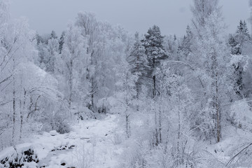 Obraz premium Beautiful winter landscape with thick frost covering the trees