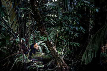 Tortuguero, Costa Rica, Central America