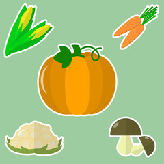 A set of fresh vegetables in a white stroke on a green background.