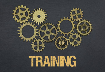 Training / Cogwheels