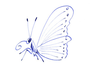 Zeichnung eines Schmetterlings