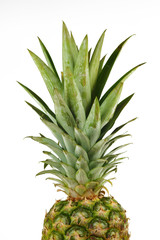 Obraz premium The upper part of the fruit of a pineapple on a white background