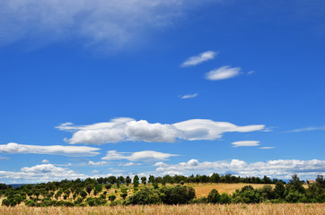 Countryside, Provence, France