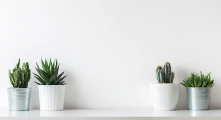 Schilderijen op glas Collection of various cactus and succulent plants in different pots. Potted cactus house plants on white shelf against white wall. © andreaobzerova