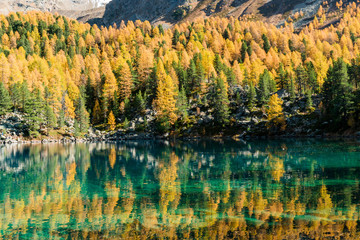 Herbstliche Spiegelung im Lago di Saoseo, Puschlav, Schweiz