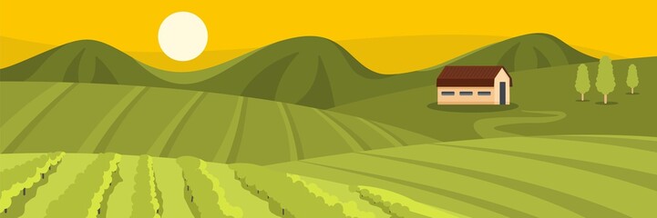 Large field banner. Flat illustration of large field vector banner for web